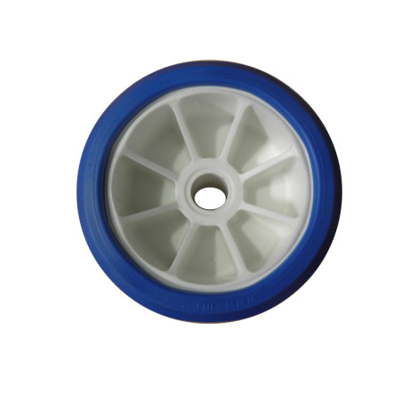 Galet bi-matière blanc/bleu diamètre 120 - Alésage 17